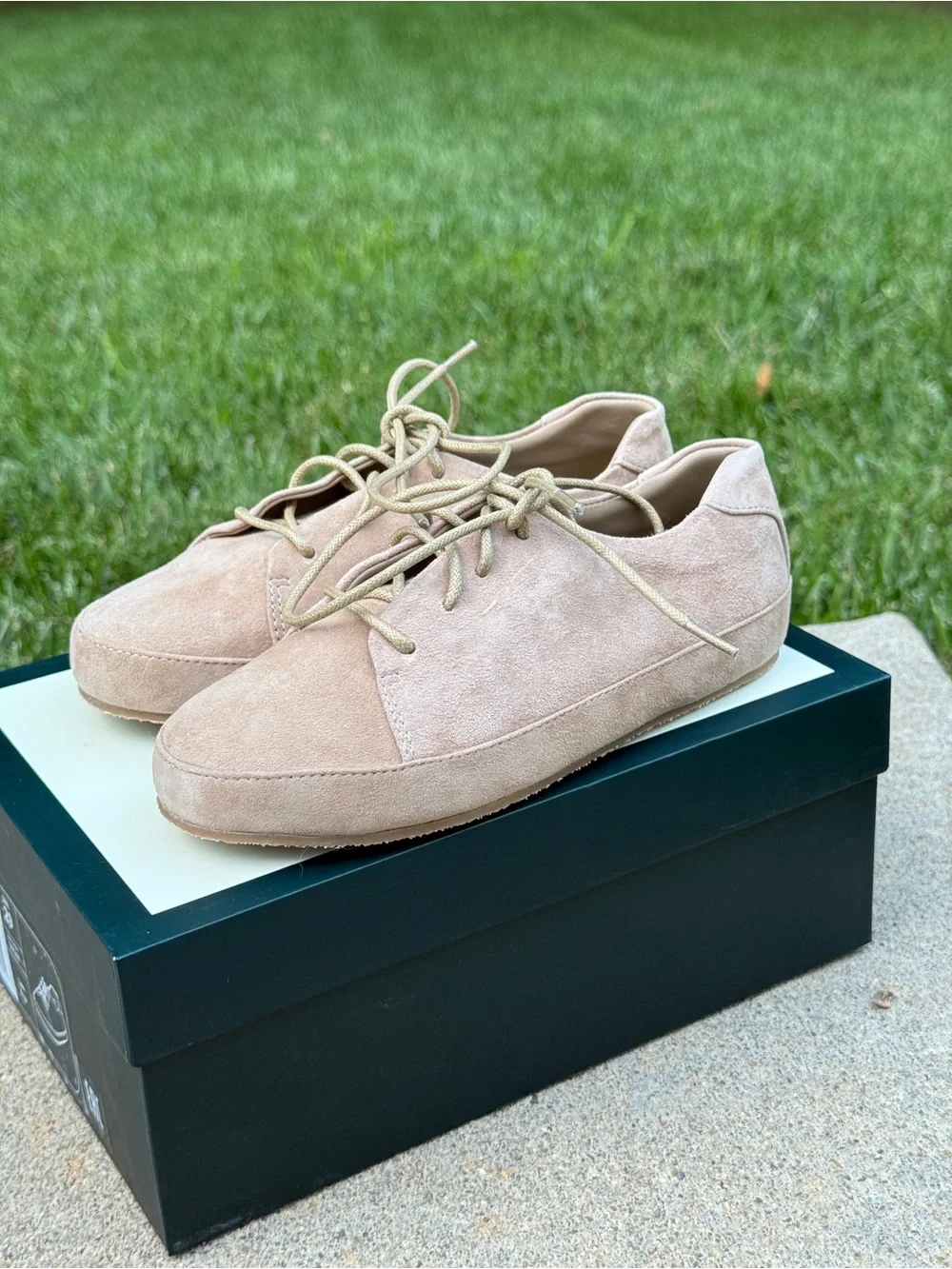 NEW GENTS by Age of Innocence Beige Suede Lace-Up Shoes / Sneakers (EU 29)